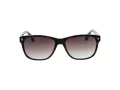 Ted Baker Sunčane Naočale TB 1753 119