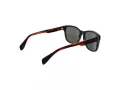 Ted Baker Sunčane Naočale TB 1753 599