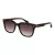 Ted Baker Sunčane Naočale TB 1754 119