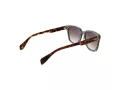 Ted Baker Sunčane Naočale TB 1754 119