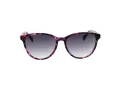 Ted Baker Sunčane Naočale TB 1763 702