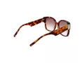 Ted Baker Sunčane Naočale TB 1767 100