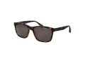 Ted Baker Sunčane Naočale TB 1780 119