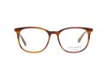 Ted Baker Naočale TB 8219 351