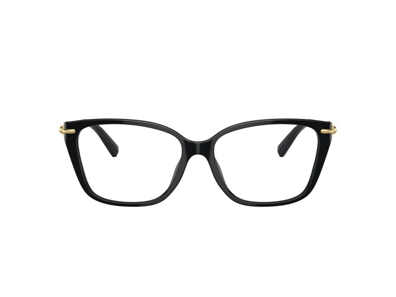 Tiffany Naočale TF 2248K 8402