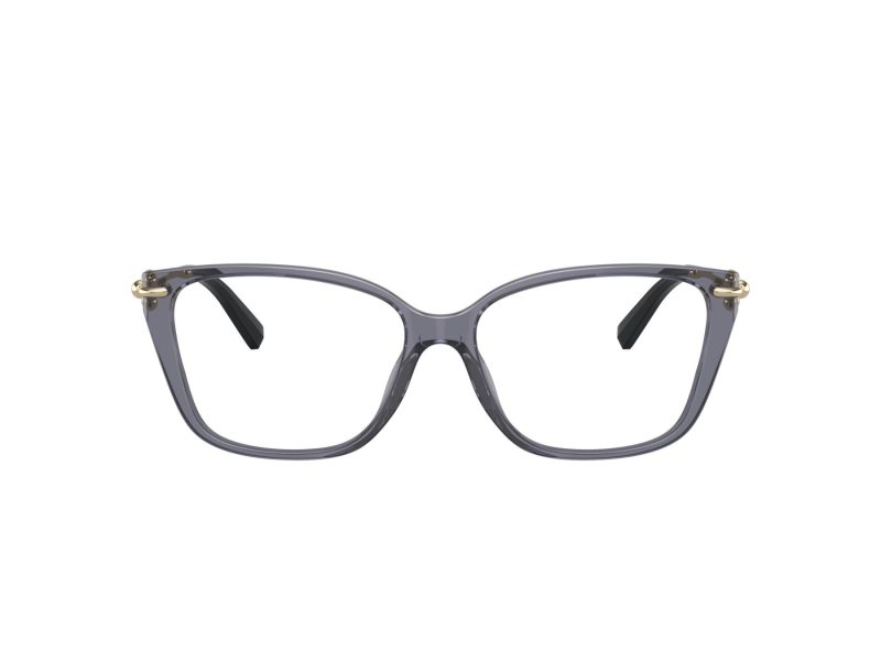 Tiffany Naočale TF 2248K 8405