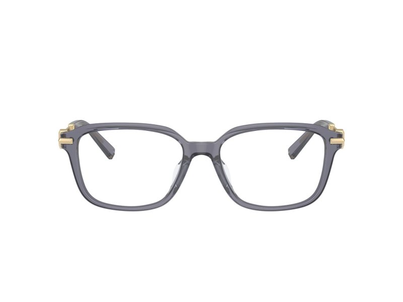 Tiffany Naočale TF 2253D 8405