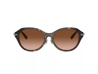 Tiffany Sunčane Naočale 4210D 80153B