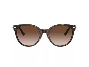 Tiffany Sunčane Naočale 4223D 80153B