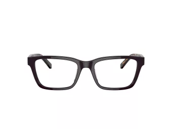 Tory Burch Naočale 2118U 1905