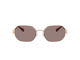 Tory Burch Sunčane Naočale 6113 33587N