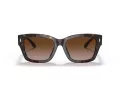 Tory Burch Sunčane Naočale 7167U 172813