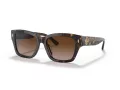 Tory Burch Sunčane Naočale 7167U 172813