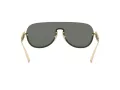 Versace Sunčane Naočale VE 2215 1002/87