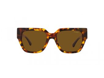 Versace Sunčane Naočale VE 4409 511983