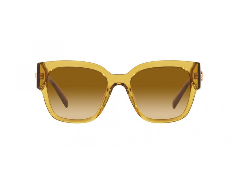 Versace Sunčane Naočale VE 4437U 53472L
