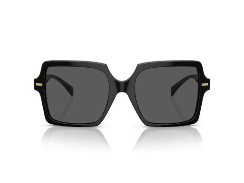 Versace Sunčane Naočale VE 0VE4441 GB1/87